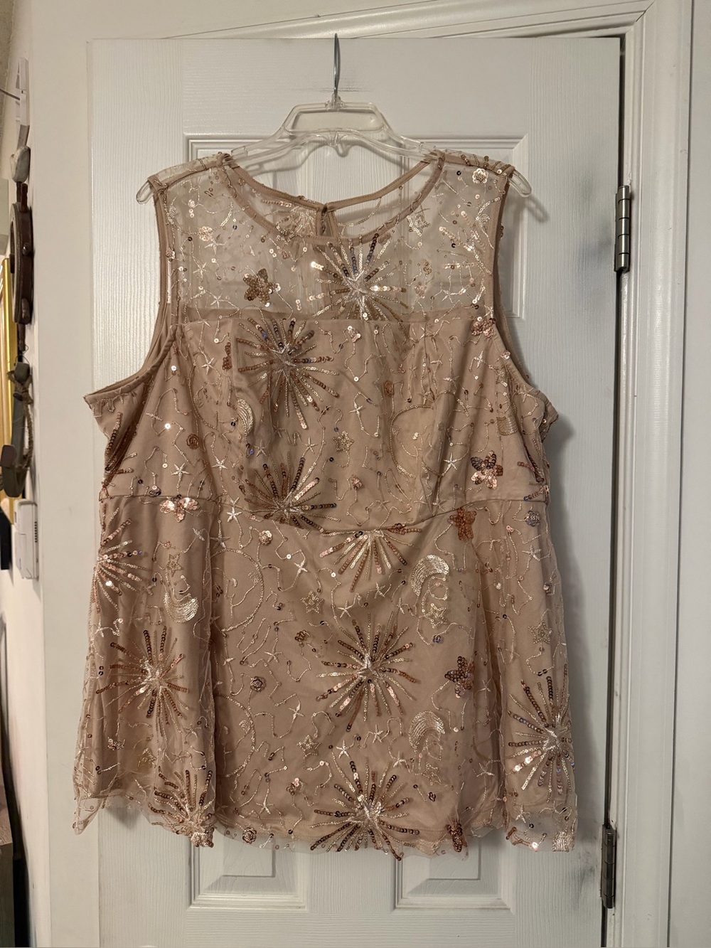 Torrid Sequin Embellished Blush Sheer Camisole